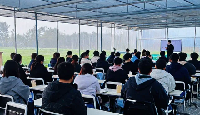 教师培训课程在本地服务中的合规性实践与适用场景分析