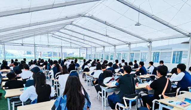 风险防控误区:师资培训中忽视合规细节的常见误解